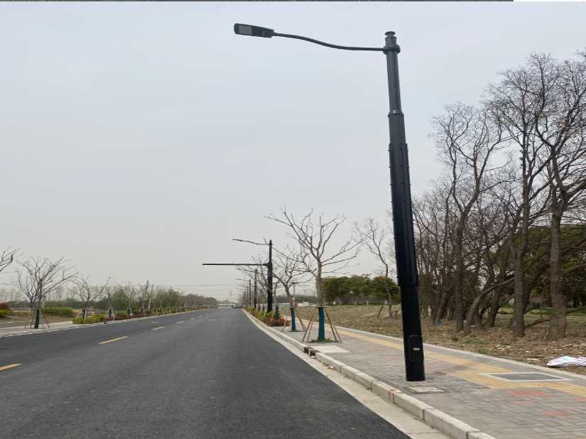 连城县上海综合杆 太阳能路灯工程